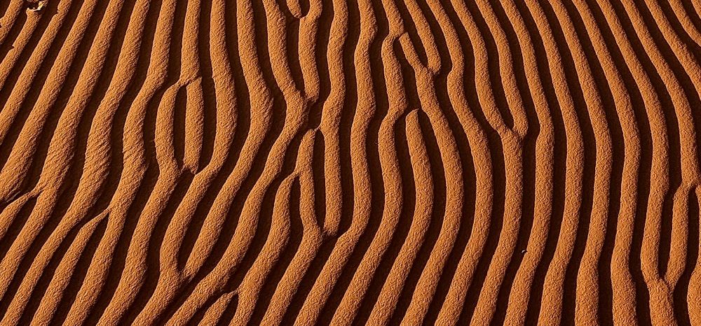 Photograph by Maria Karpov