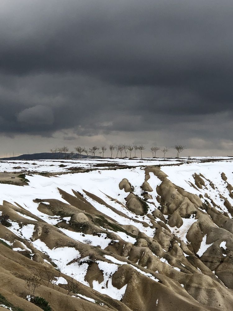 Photograph by Мария Бессмертная