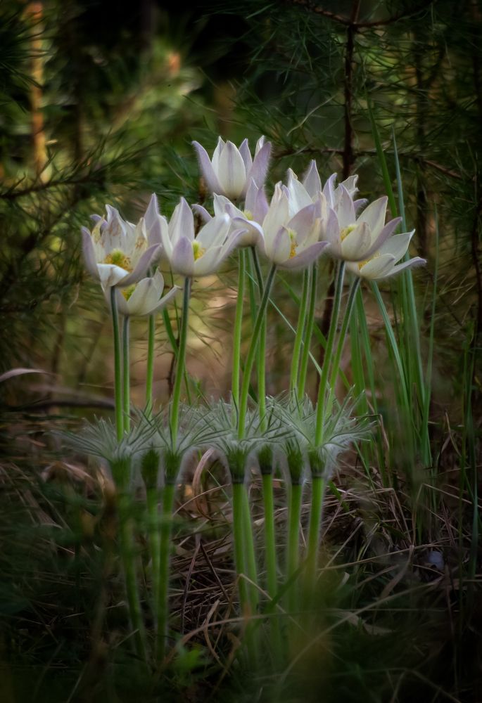 Фотография автора Александр Рудный