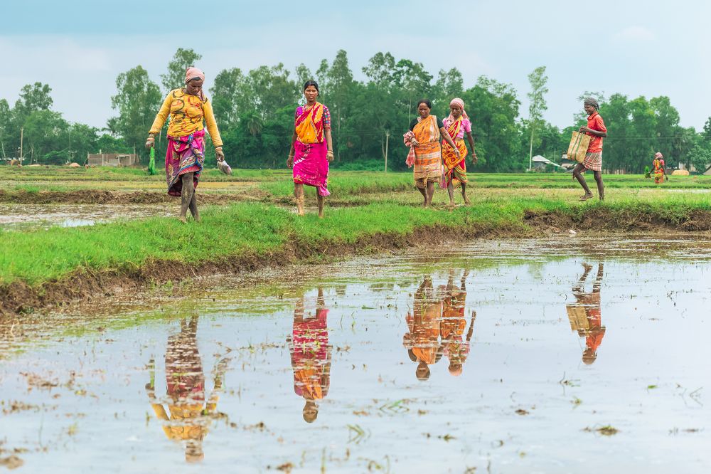 Photograph by Anirban Pan