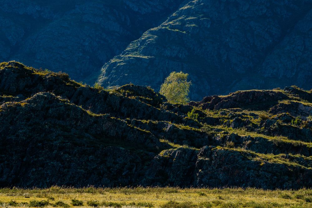 Жизнь в горах