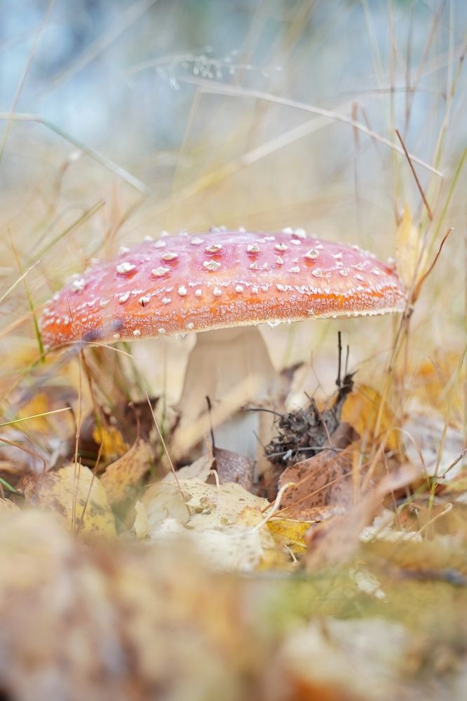 Photograph by Высотских Владимир