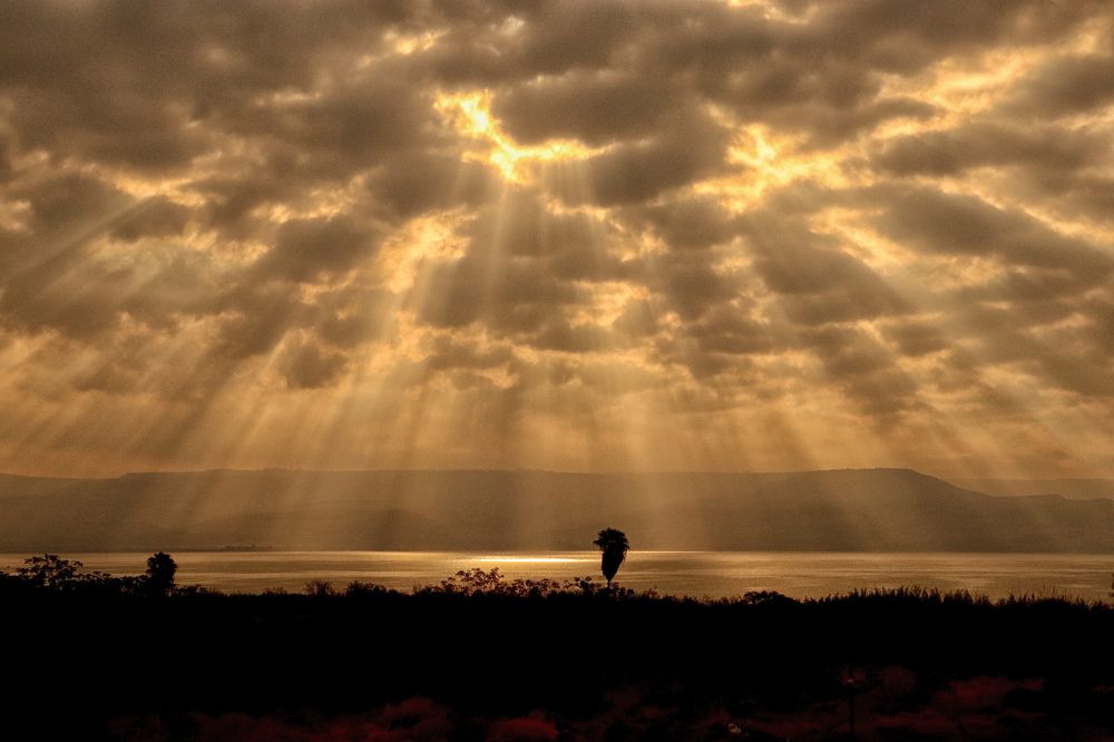 Photograph by Drora Baharal