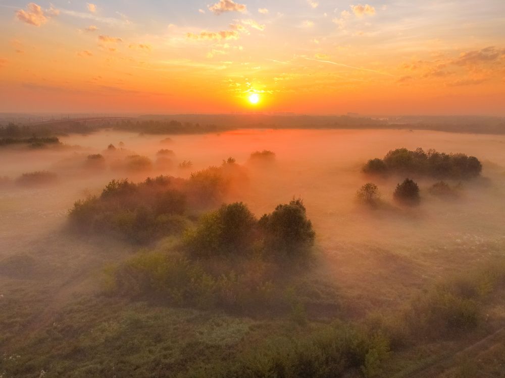 Photograph by Дмитрий Пасынков