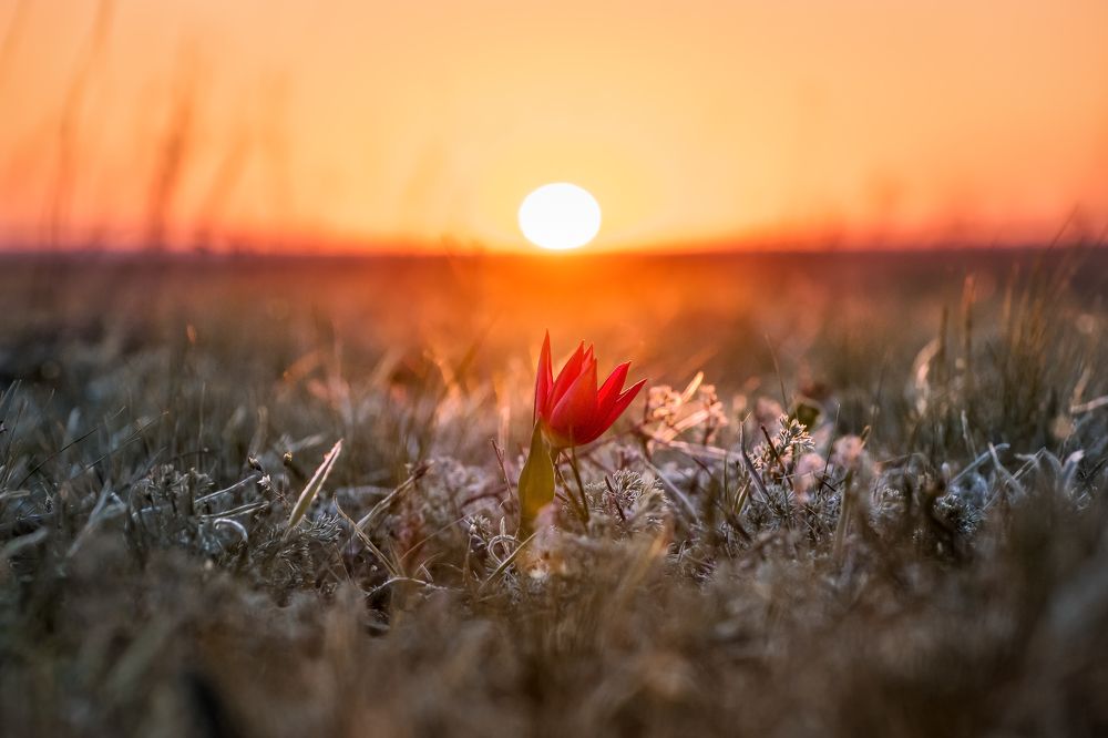 Фотография автора Zakharov Armen