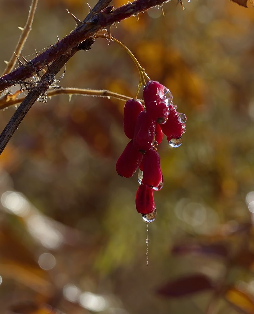Photograph by Анатолий Васильев