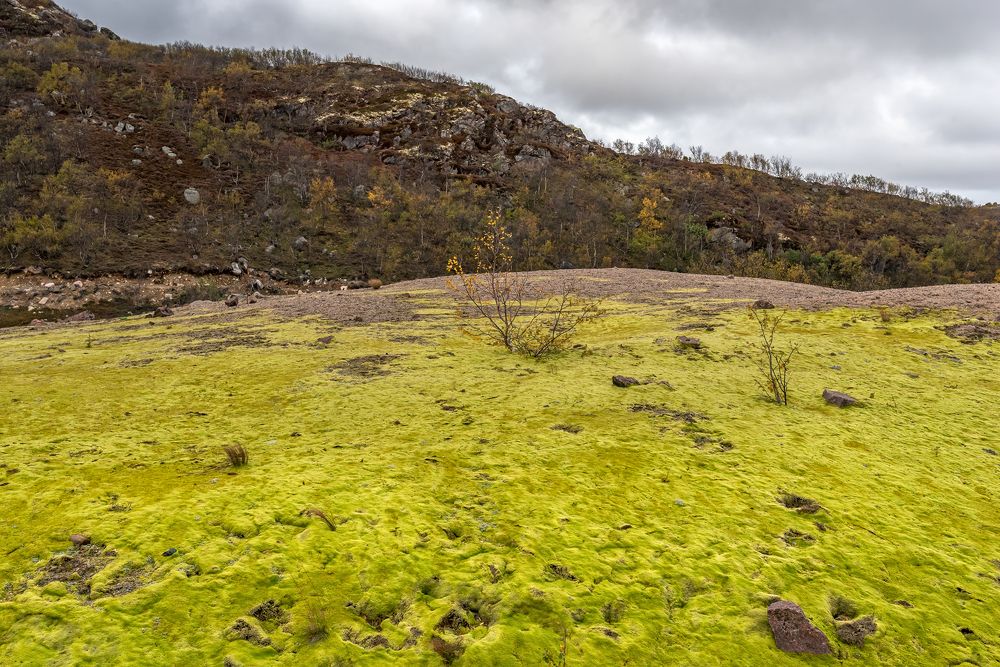 Фотография автора Zakharov Armen