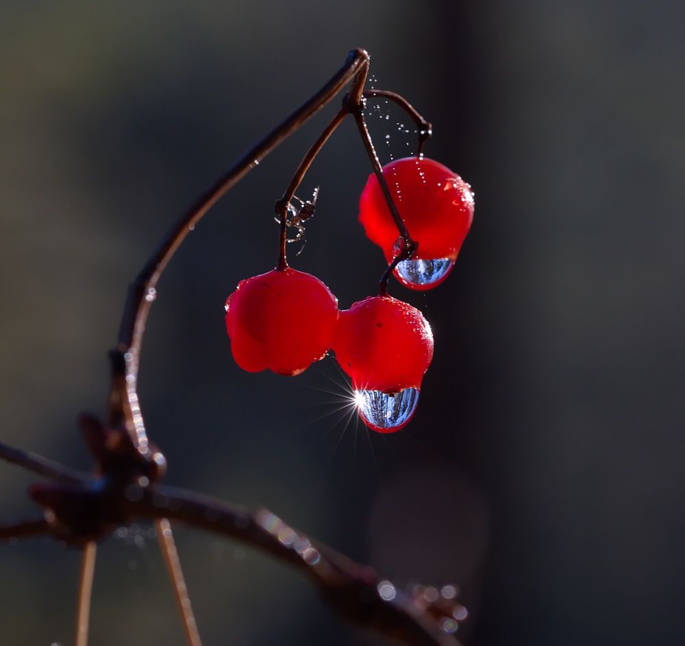 Photograph by Анатолий Васильев