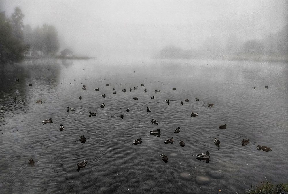 Сельское утро.