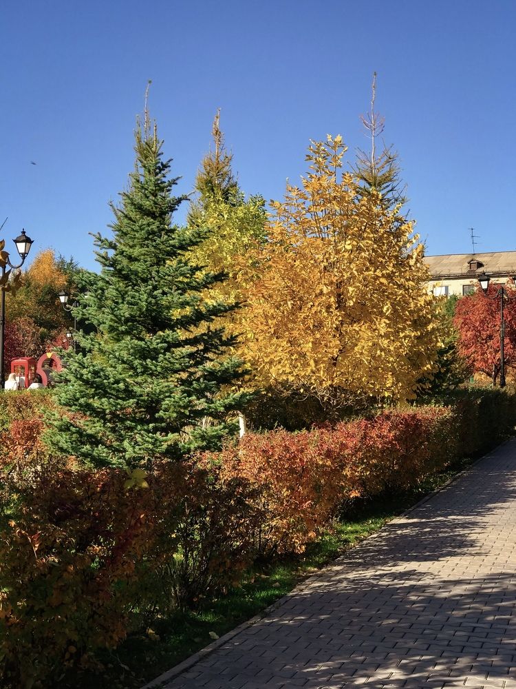 Photograph by Наталья Перерва