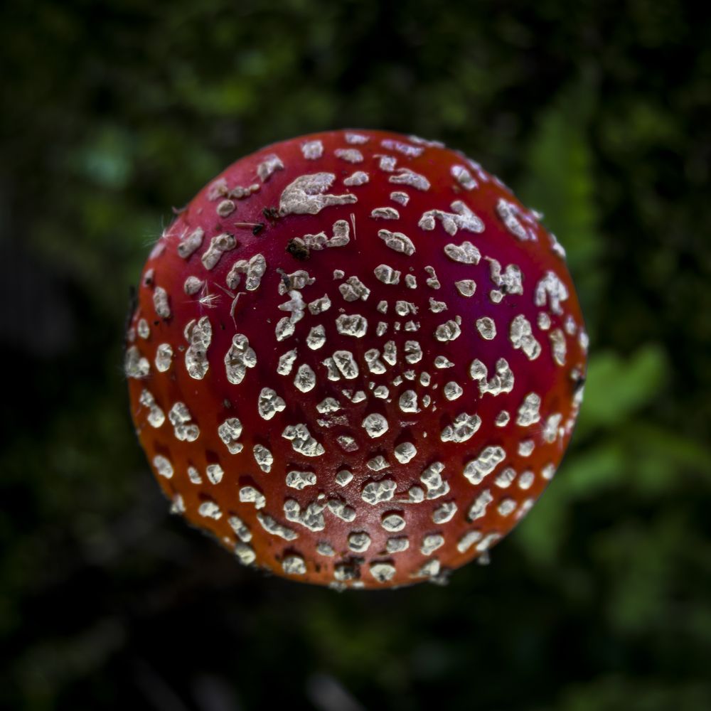 Photograph by Василий Либко