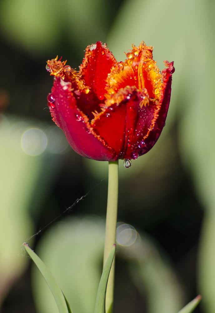 Photograph by Василий Либко