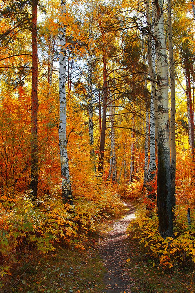 Photograph by Николай Кандауров