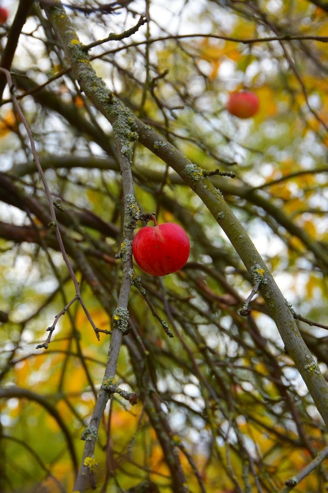 Photograph by Евгений Захаров