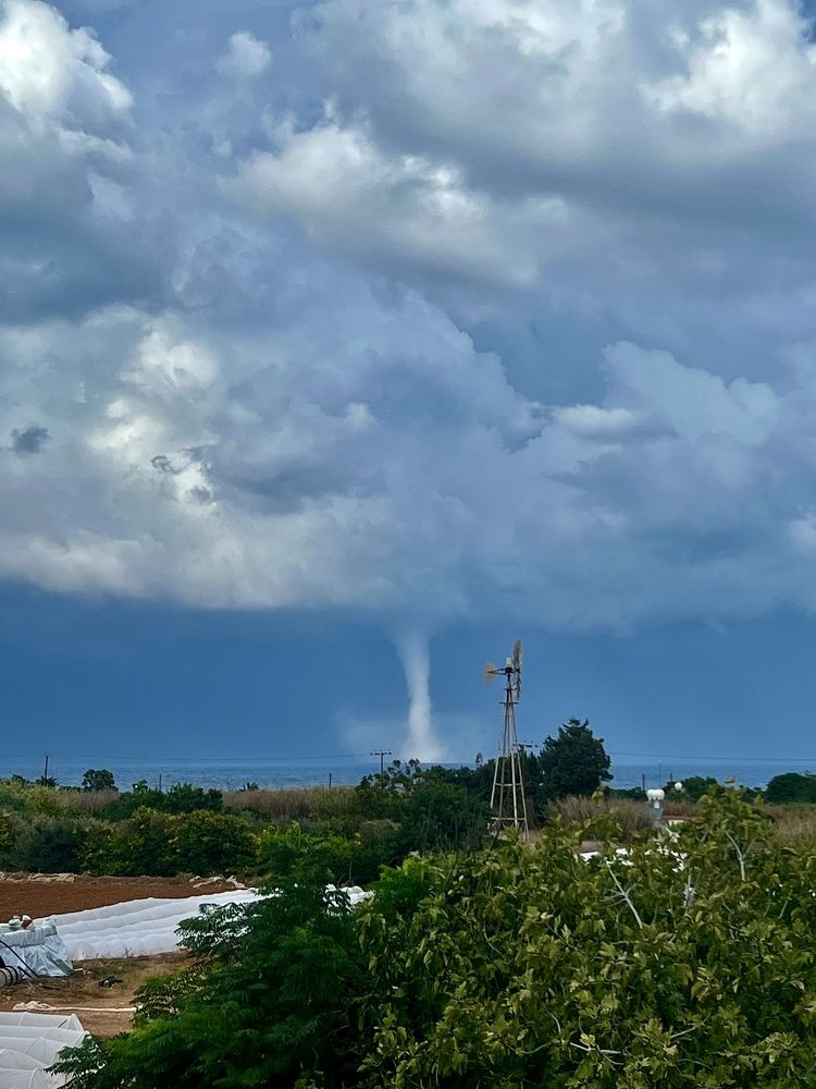 Photograph by Шестакова Наталья