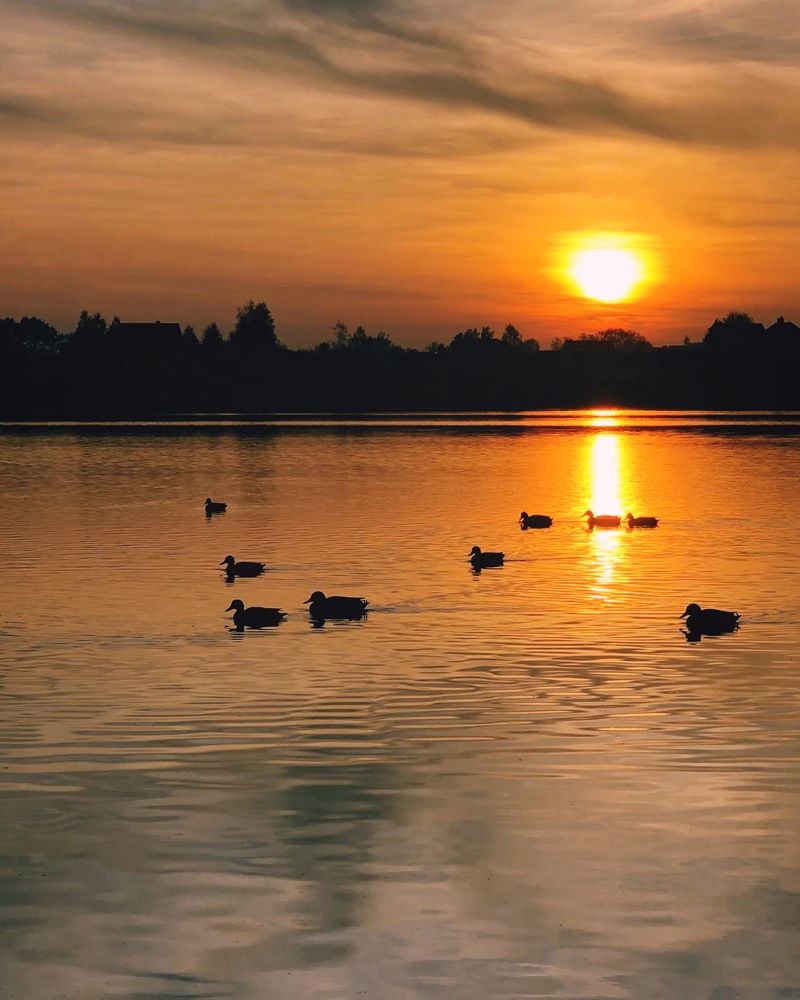 Photograph by Halina Mitsevich