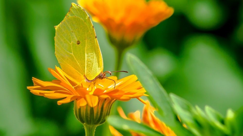 Photograph by Алексей Ильин