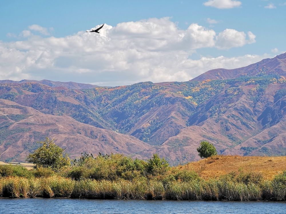 Photograph by Иван Шатный