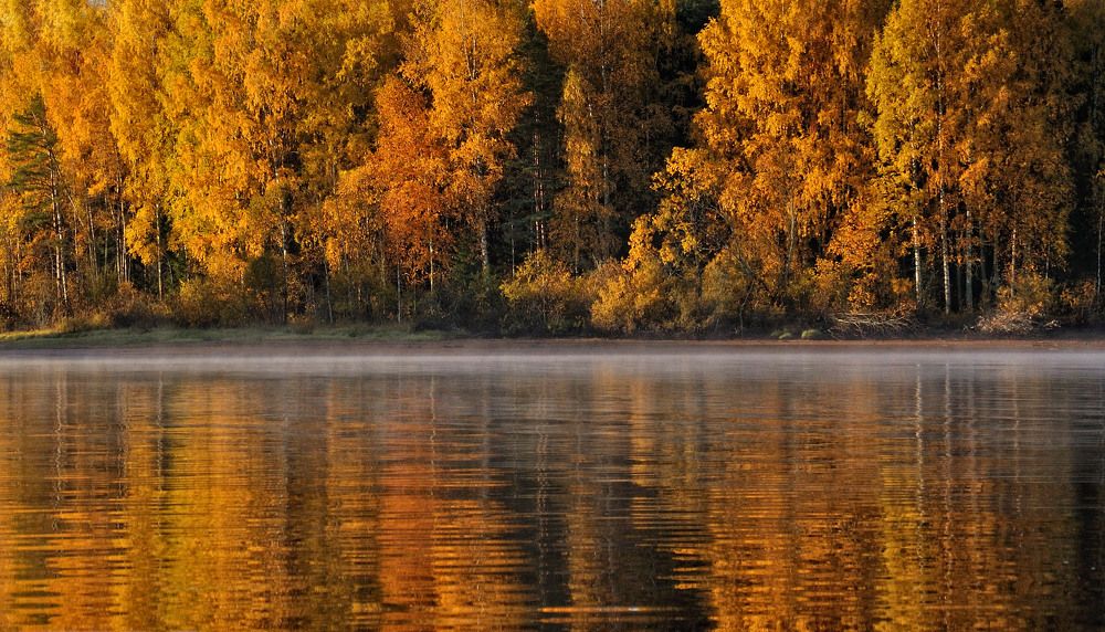 Photograph by Андрей Куликов