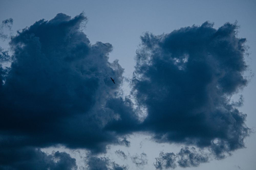 Photograph by Vladimir Hegnoyan