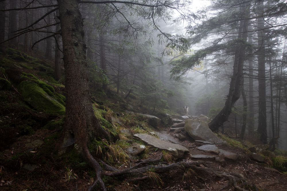 Photograph by Андрей Жила