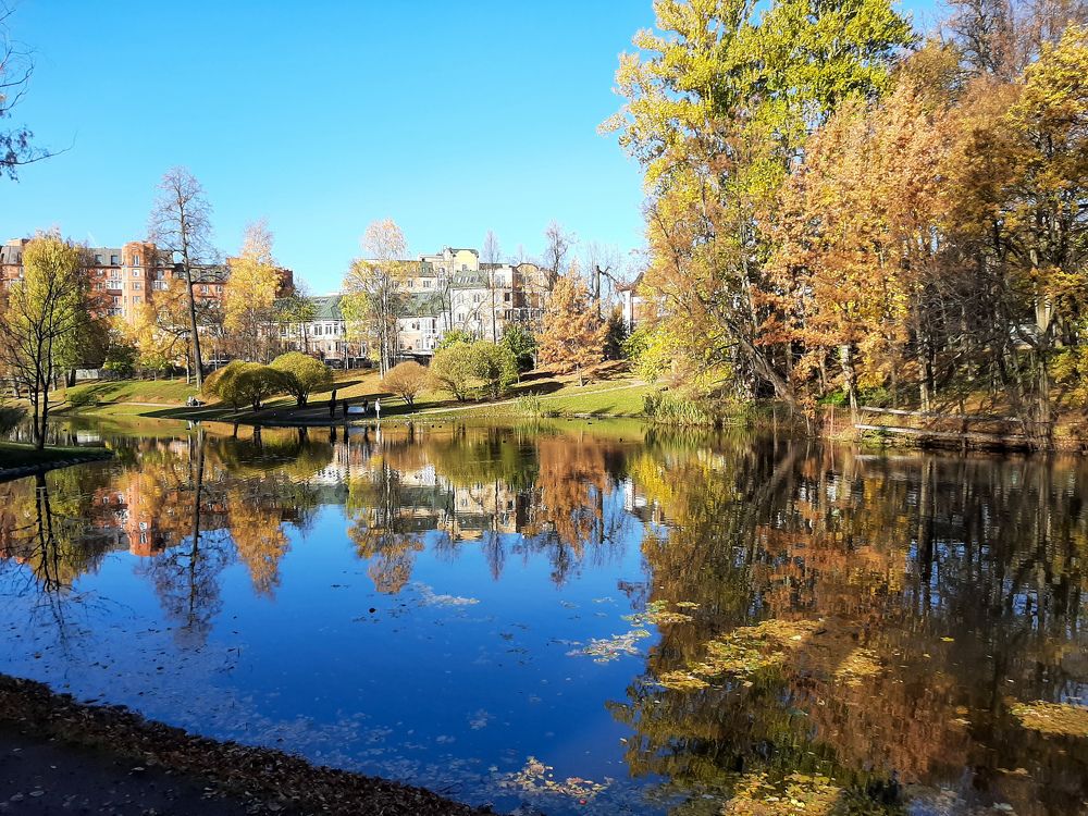 Фотография автора Светлана Дунаева
