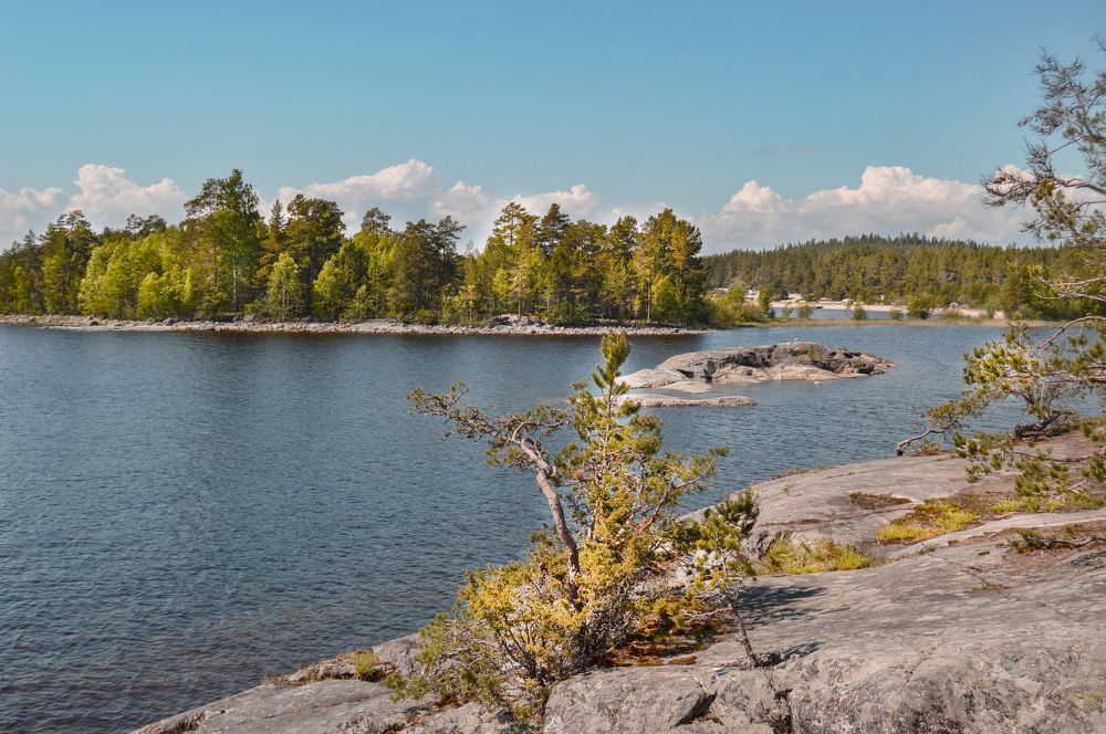 Остров Койонсаари