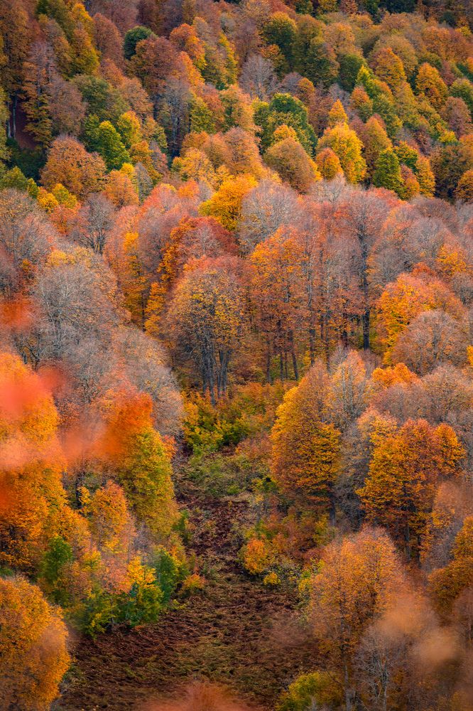 Фотография автора Вазген Бояджян