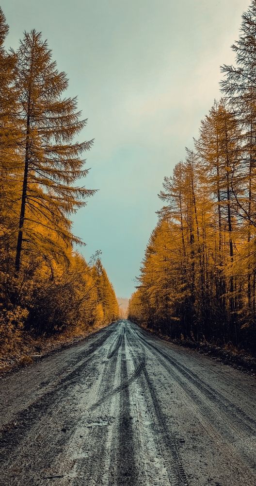 Photograph by Дмитрий Гришин