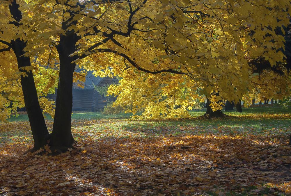 Photograph by Svetlana Rizzo