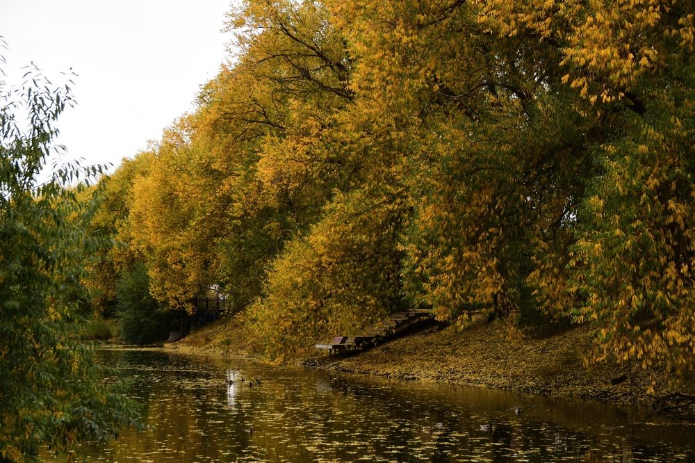 Photograph by Егор Колягин