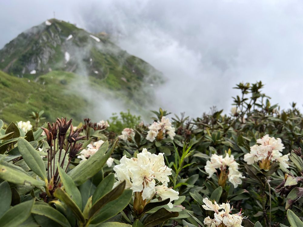 Photograph by Юлия Суворова