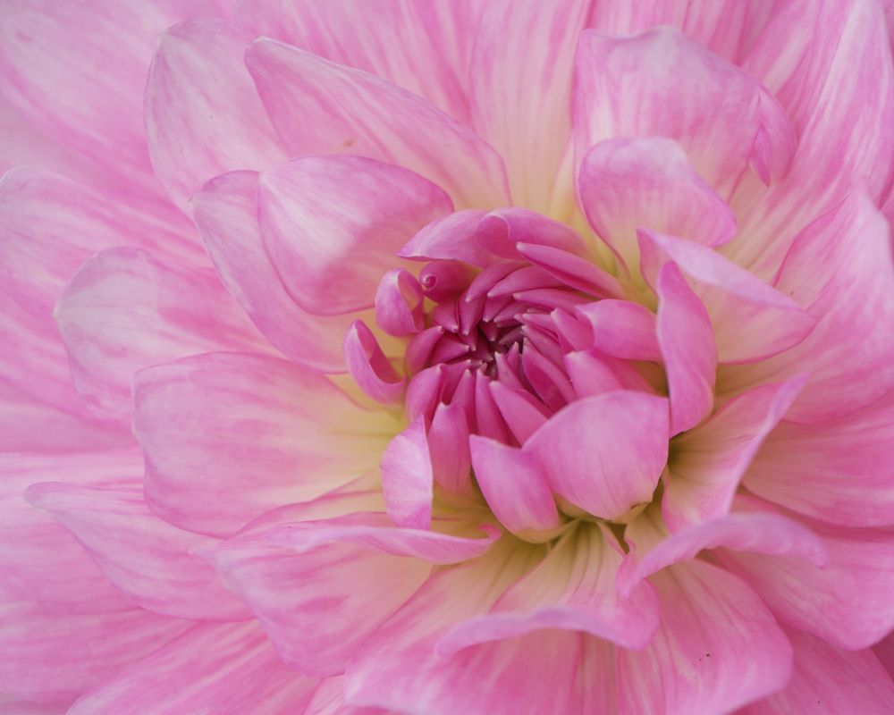 Photograph by Серегина Ирина