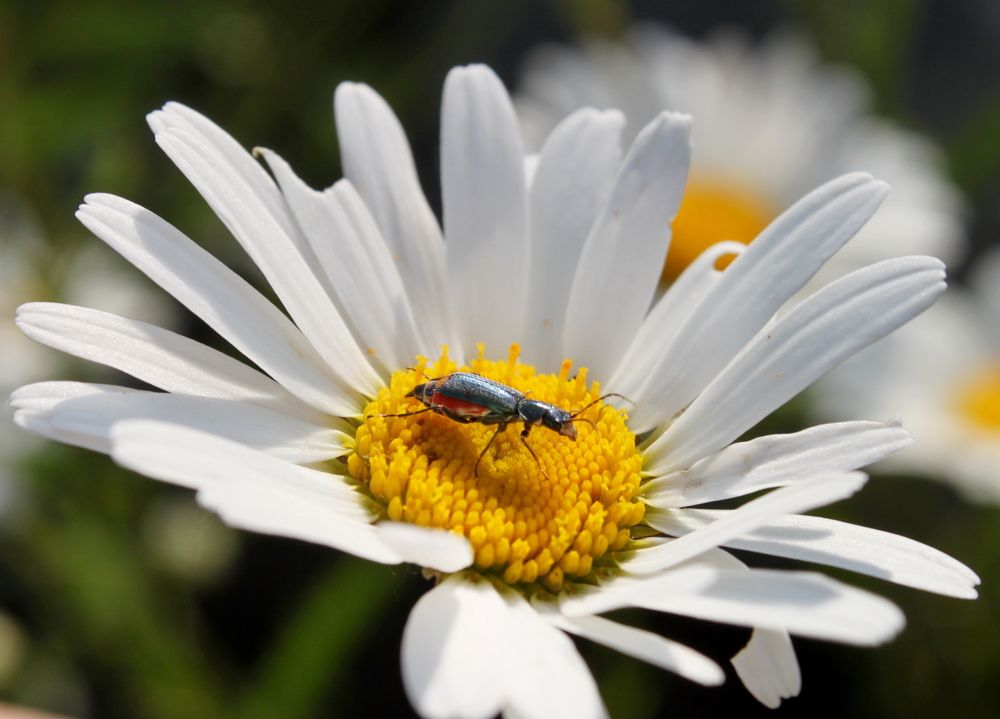 Photograph by Марина Ильева