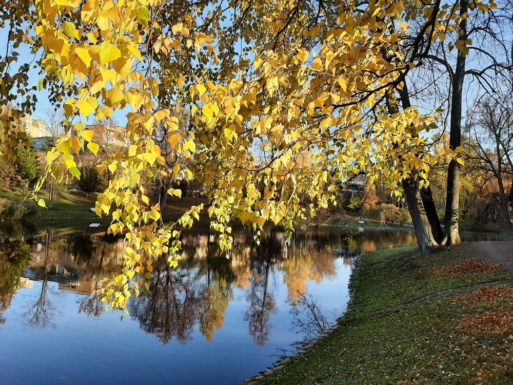 Фотография автора Светлана Дунаева
