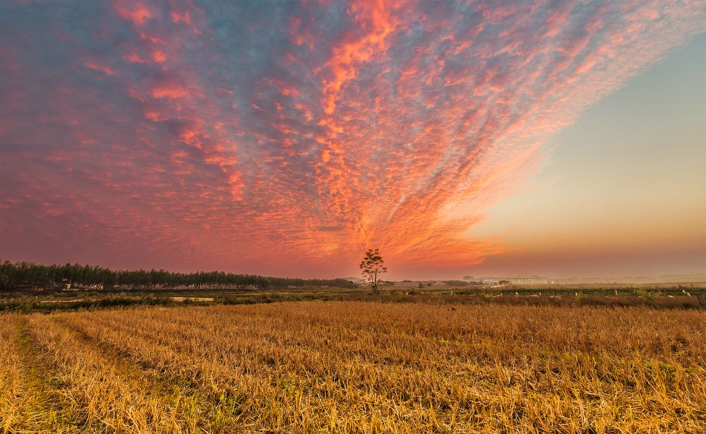 Фотография автора Đào Cảnh