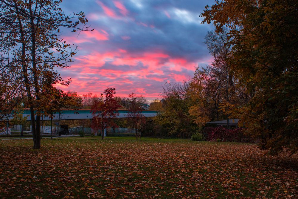 Photograph by Ivan Majors