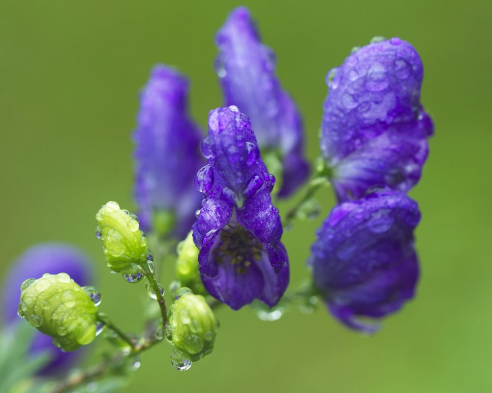 Photograph by Серегина Ирина