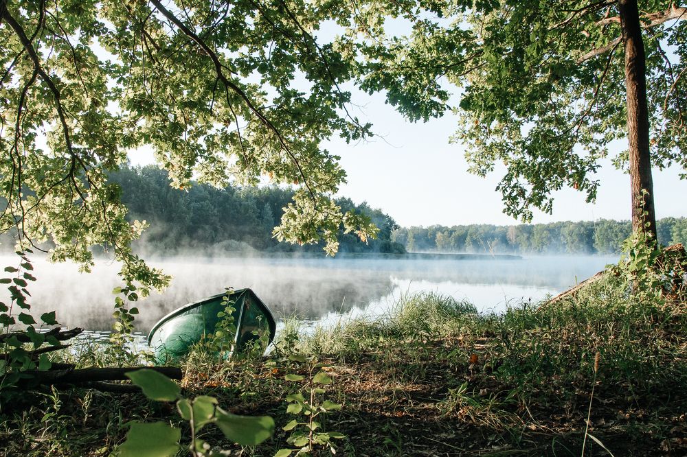 Туман над озером. Утро.