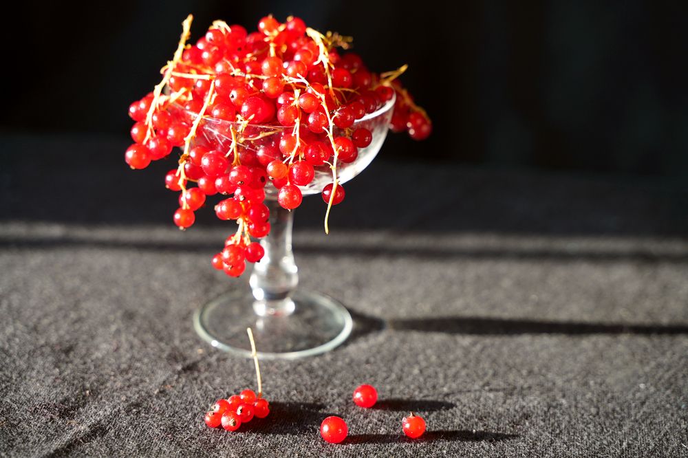 Гроздья смородины