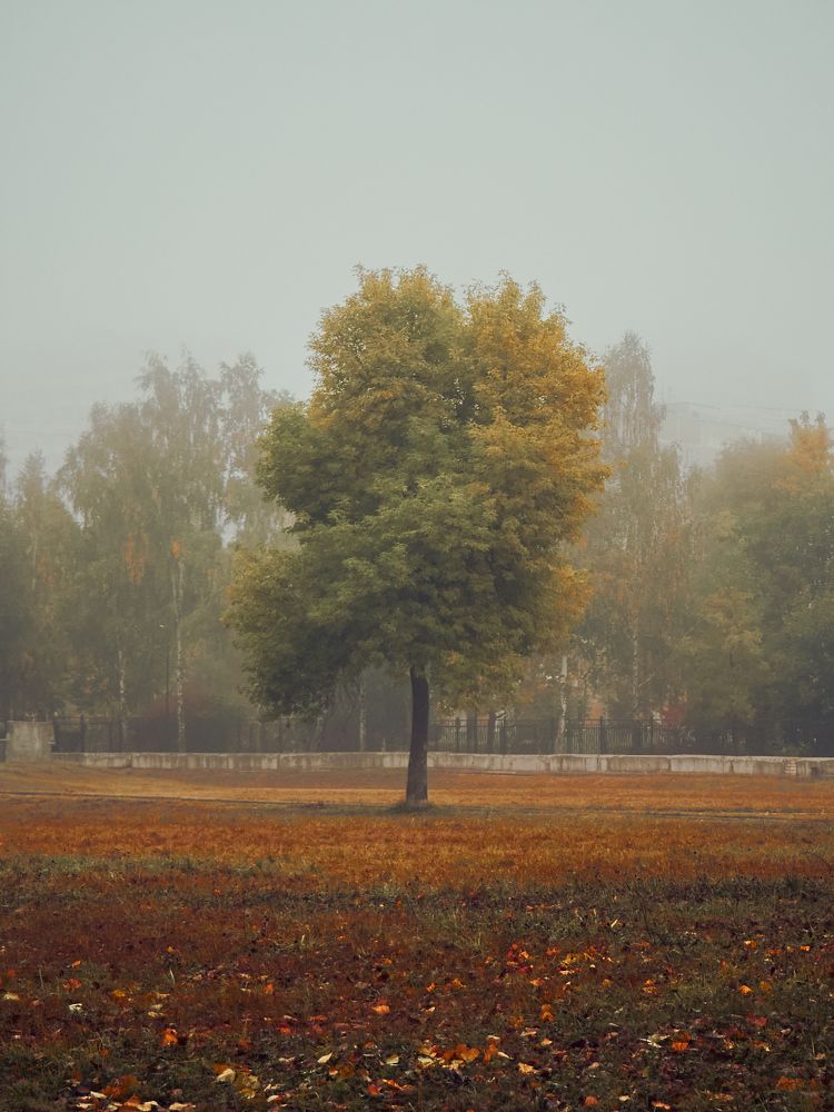 Фотография автора Артыков Александр