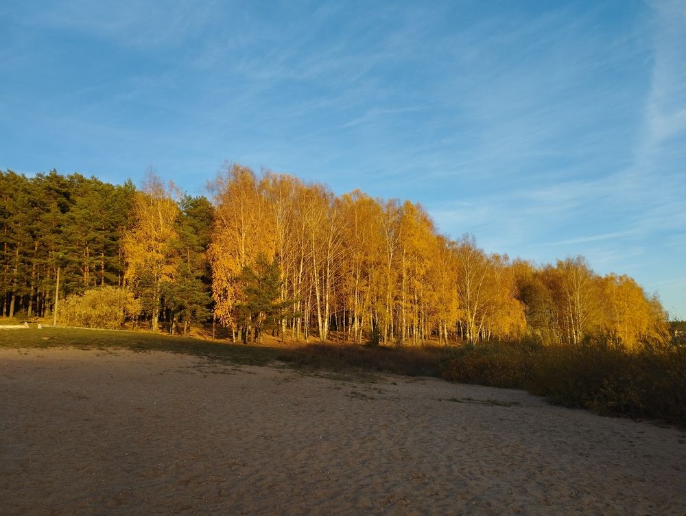 Photograph by Ольга Антохина