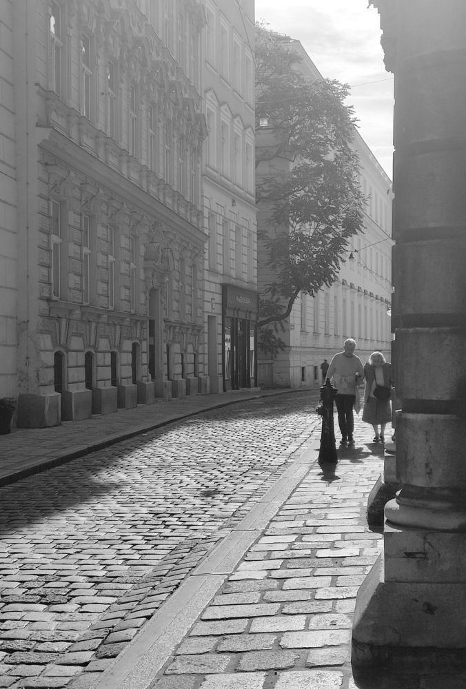 Photo #8198813