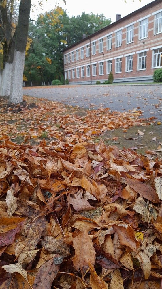 Школьный двор