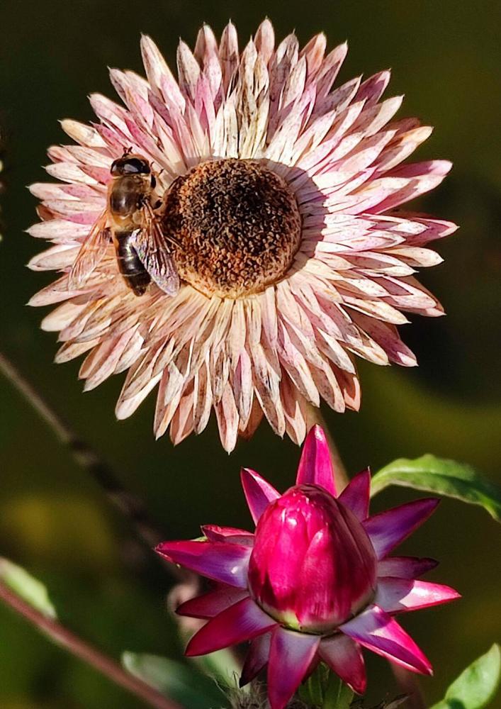 Photograph by Александр Коркин