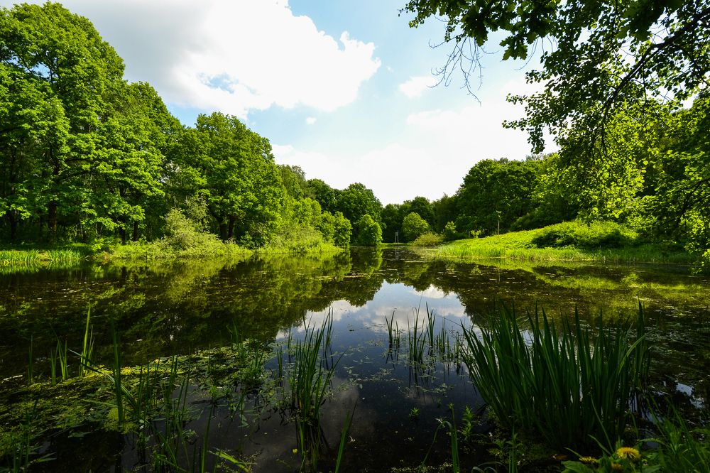 Photograph by Елена