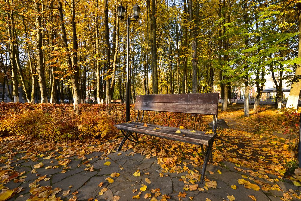 Прогулка в осеннем парке
