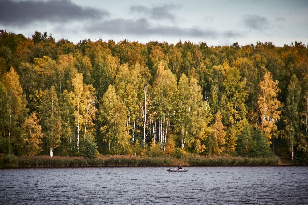 Фотография автора Артыков Александр