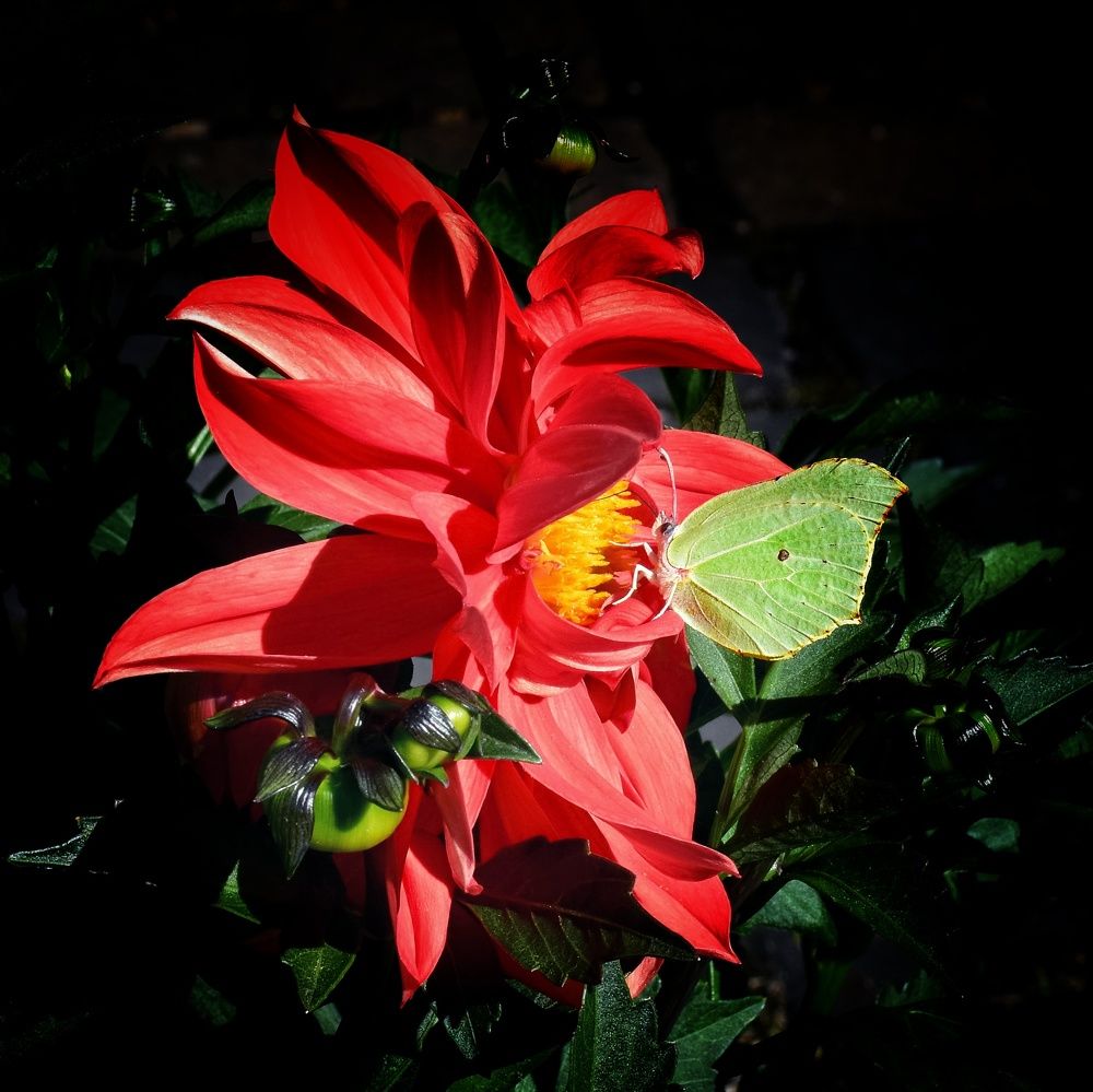 Photograph by Елена Павлова