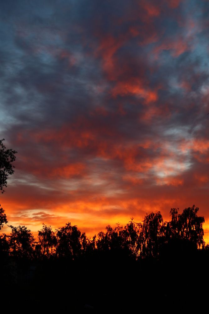 Photograph by Светлана Шуткова